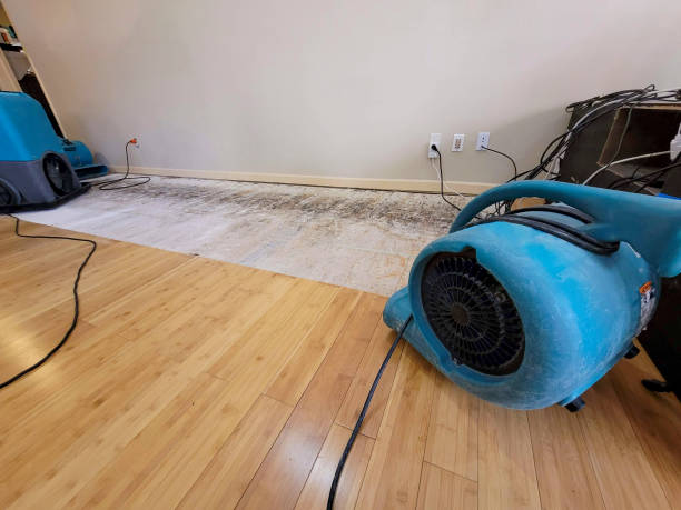 Professional Structural Drying technician working in Niles, MI